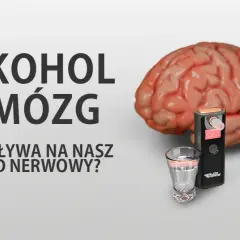 Prawda o alkoholu: Jak niszczy mózg i czy możliwa jest regeneracja?