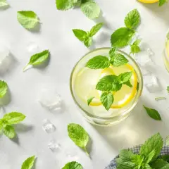 Alkohol na diecie ketogenicznej: Czy to możliwe bez szkody dla ketozy?