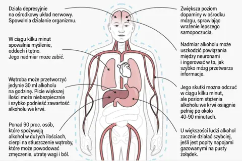 Alkohol po narkozie? Dlaczego to zły pomysł i kiedy jest bezpiecznie?