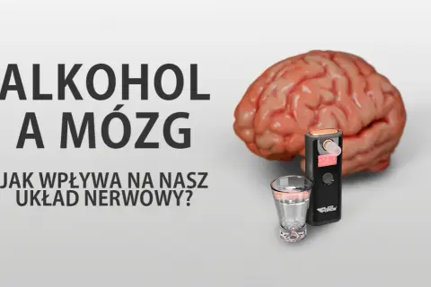 Prawda o alkoholu: Jak niszczy mózg i czy możliwa jest regeneracja?