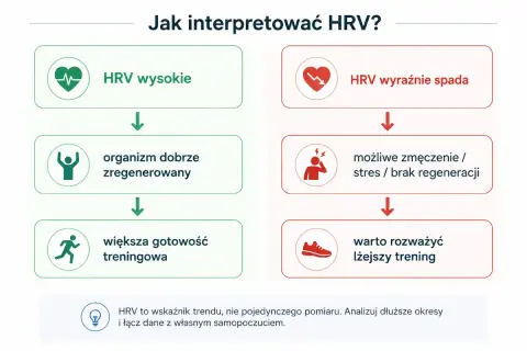 HRV wysokie oznacza dobrą regenerację i gotowość do treningu. Spadek HRV sugeruje zmęczenie, stres i potrzebę lżejszego treningu.