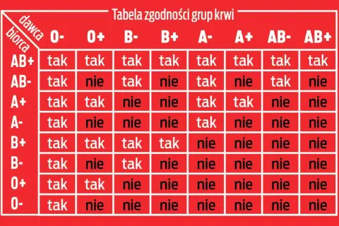 Tabela zgodności grup krwi: kto komu może oddać krew. Sprawdź, czy Twoja grupa krwi jest zgodna z innymi.