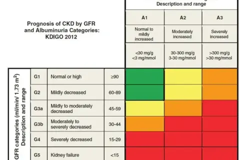Tabela KDIGO 2012: prognoza PChN wg GFR i albuminurii. Wyniki kreatyniny co to jest, zależą od tych kategorii.