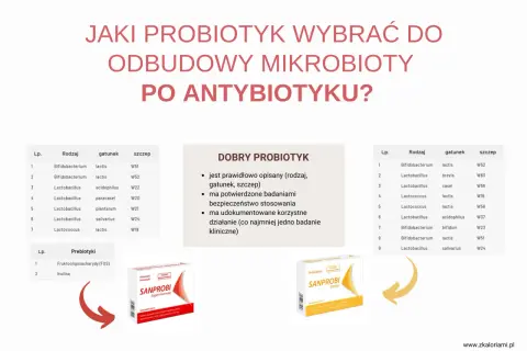 Dwa opakowania probiotyków Sanprobi na tle tabeli z rodzajami bakterii.