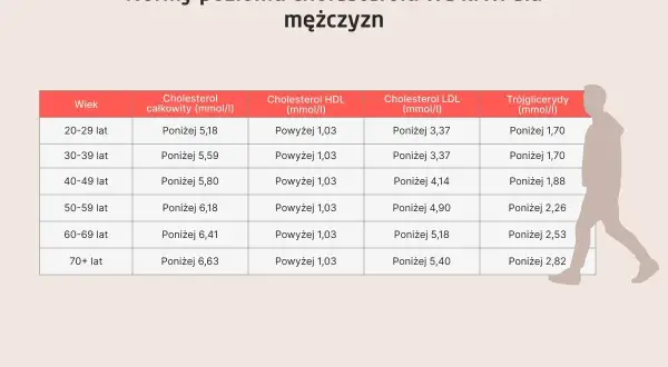 Tabela norm cholesterolu LDL dla mężczyzn w zależności od wieku. Niskie wartości są kluczowe dla zdrowia.