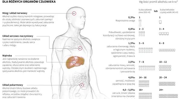 Jak alkohol szkodzi nerkom? Mechanizmy, objawy, mity o piwie