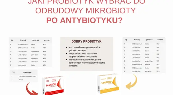 Dwa opakowania probiotyków Sanprobi na tle tabeli z rodzajami bakterii.