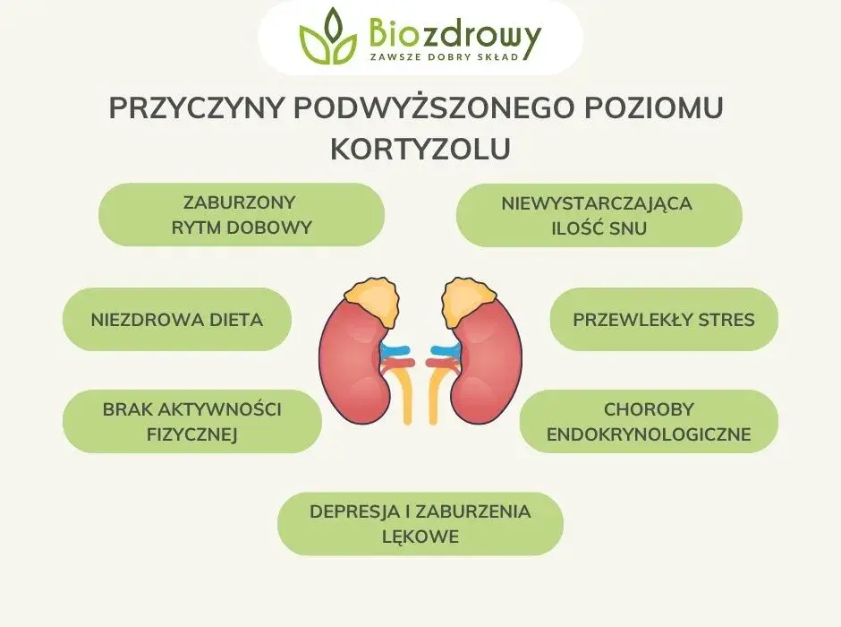Jak obniżyć kortyzol? Poznaj objawy, przyczyny i skuteczne strategie