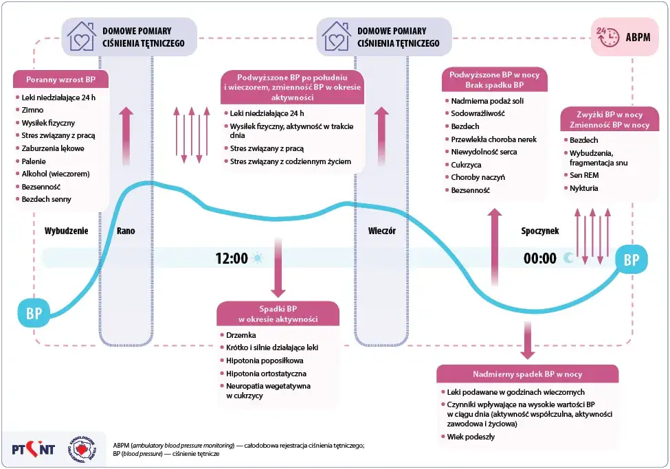 Mechanizm działania leków na nadciśnienie grafika