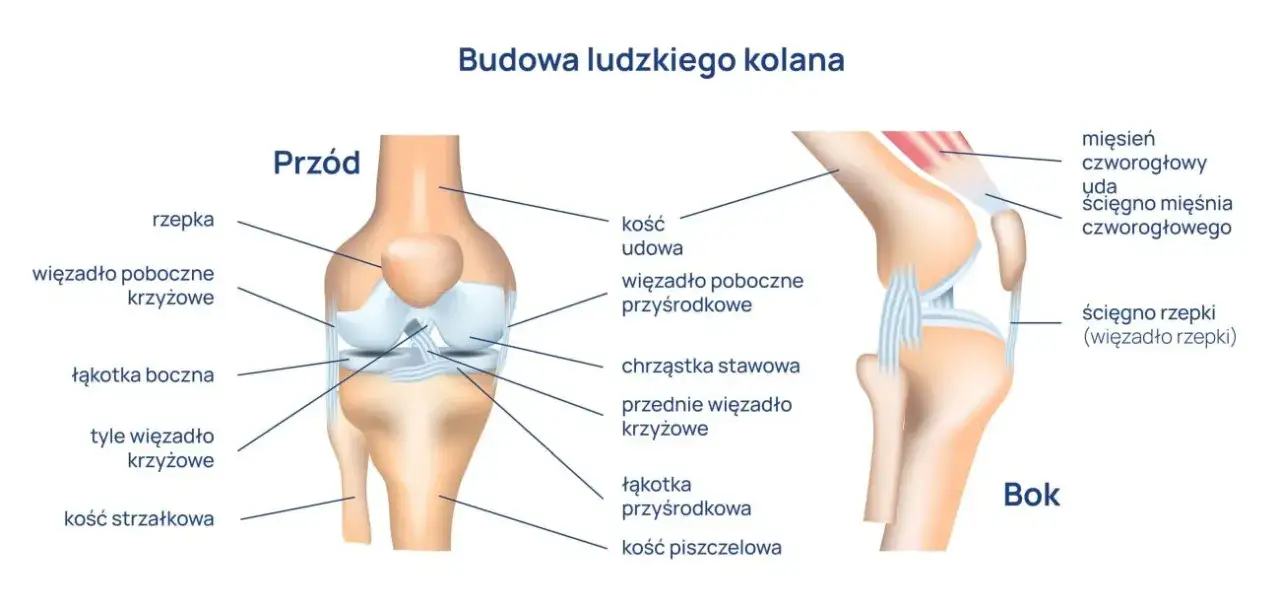 przyczyny bólu stawów infografika