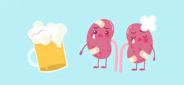 wpływ alkoholu na nerki, pojedyncza nerka grafika
