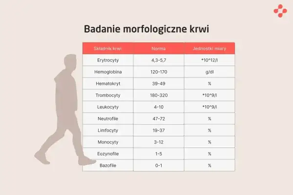 Tabela badań morfologicznych krwi. Monocyty to jeden z rodzajów białych krwinek, których norma wynosi 3-12%.