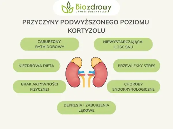 Jak obniżyć kortyzol? Poznaj objawy, przyczyny i skuteczne strategie