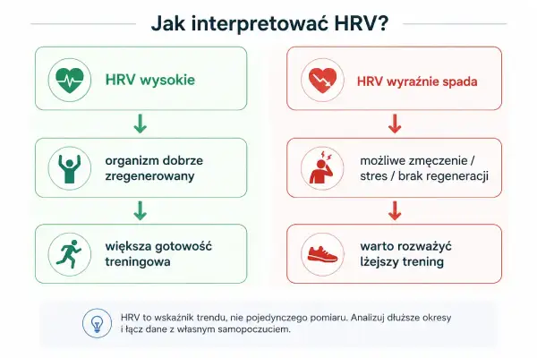 HRV wysokie oznacza dobrą regenerację i gotowość do treningu. Spadek HRV sugeruje zmęczenie, stres i potrzebę lżejszego treningu.