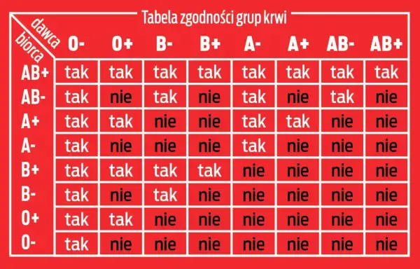 Tabela zgodności grup krwi: kto komu może oddać krew. Sprawdź, czy Twoja grupa krwi jest zgodna z innymi.