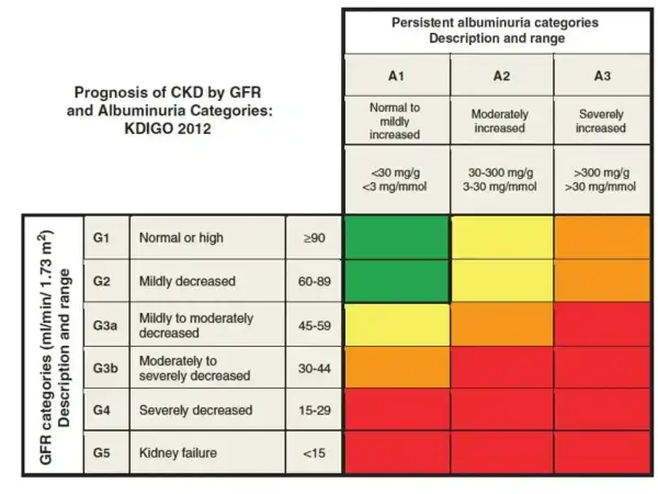 Tabela KDIGO 2012: prognoza PChN wg GFR i albuminurii. Wyniki kreatyniny co to jest, zależą od tych kategorii.