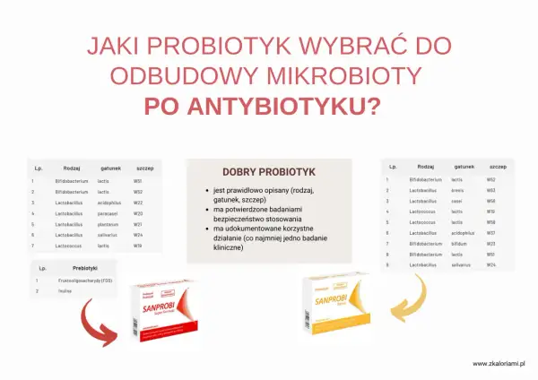 Dwa opakowania probiotyków Sanprobi na tle tabeli z rodzajami bakterii.